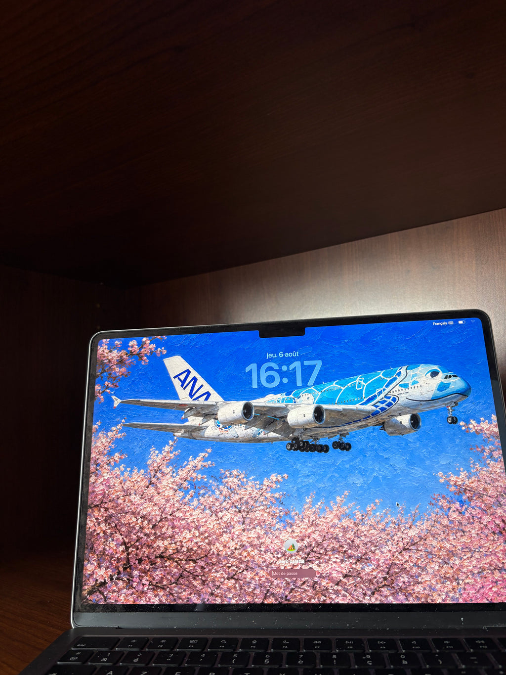 Airbus A380 Collection
