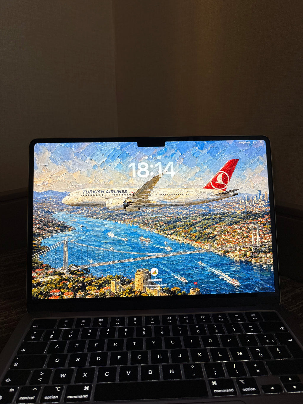 Turkish Airlines Collection